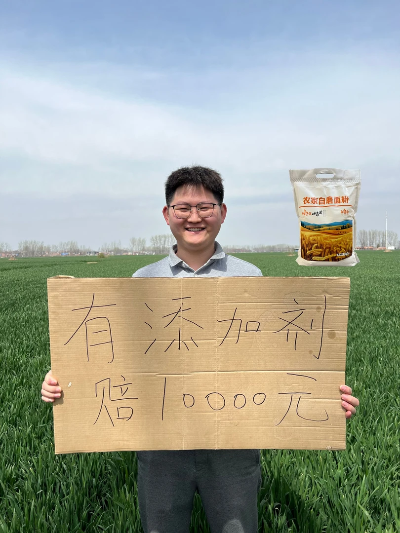 小齐家自磨面粉零添加剂含胚芽麦芯包子馒头面条饺子小麦