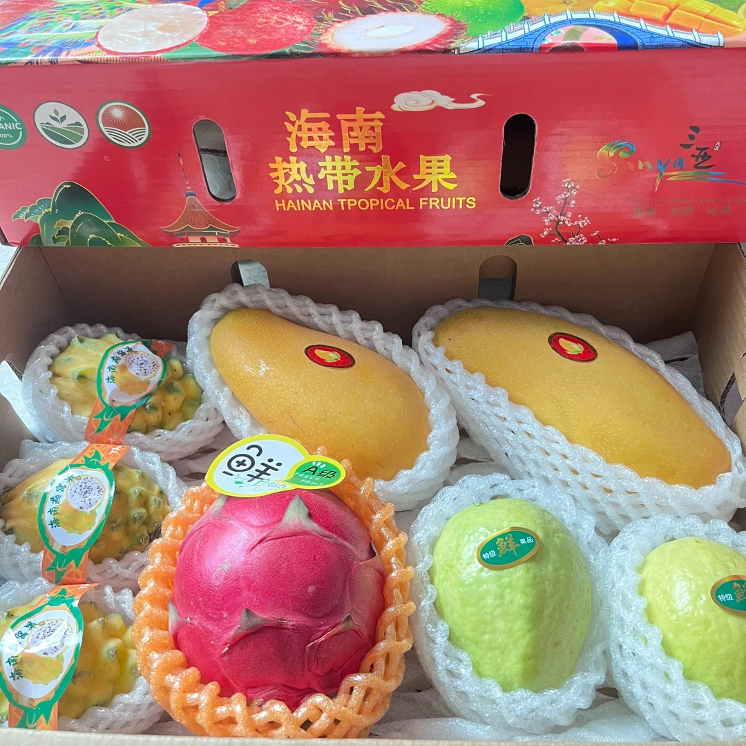 地出臻鲜新春水果礼盒果金煌芒火龙果白芭乐海南水果
