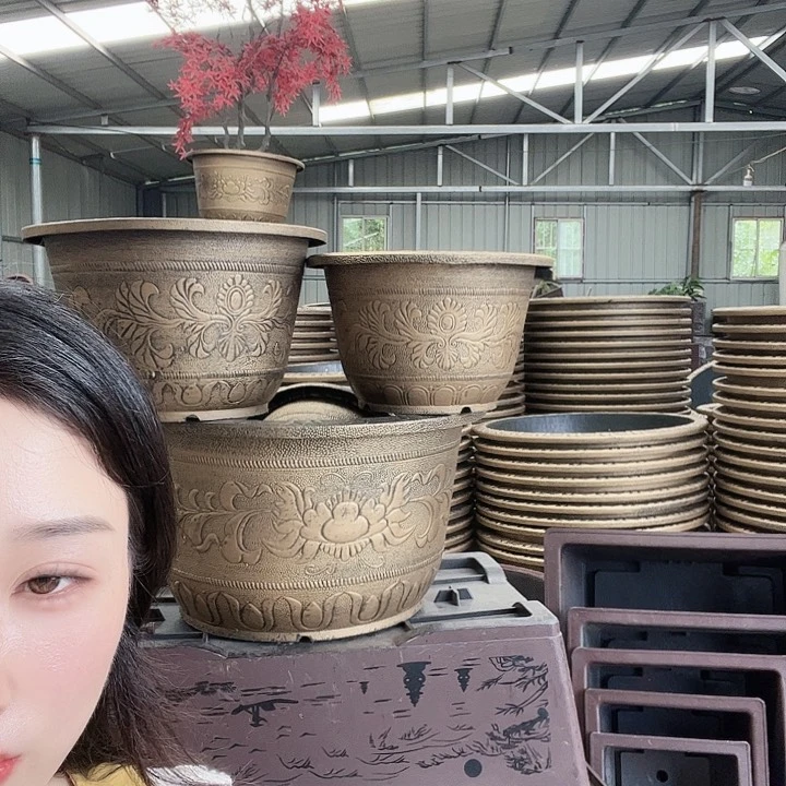 圆50盆一个圆60盆2个圆73盆一个