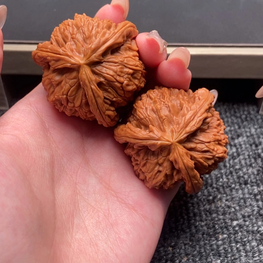 风***落木质类白狮子正奔