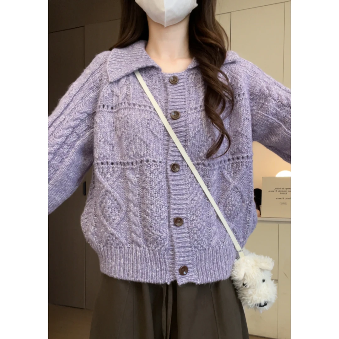 鑫鑫同学紫色毛衣开衫秋季女慵懒宽松显瘦休闲百搭针织衫翻领上衣