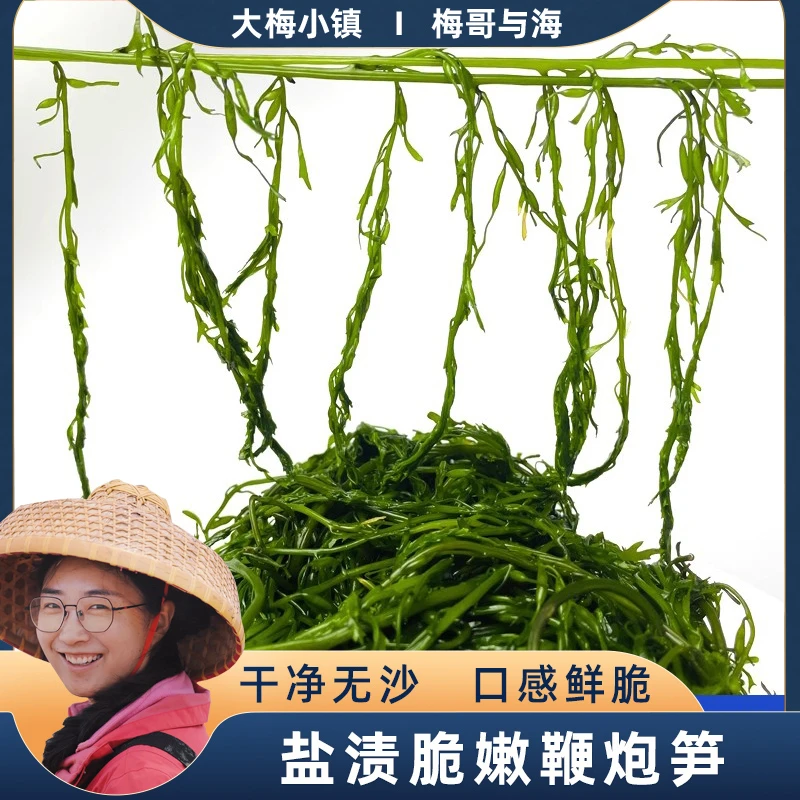 梅哥与海 长寿菜 鲜嫩爽脆盐渍马尾藻 鞭炮笋一包200g发10包