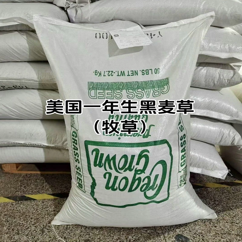 百萌进口浪潮一年生黑麦草分蘖能力强耐湿适口性好畜禽和鱼类喜食