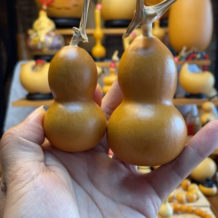 郭***岁天然葫芦自然生长