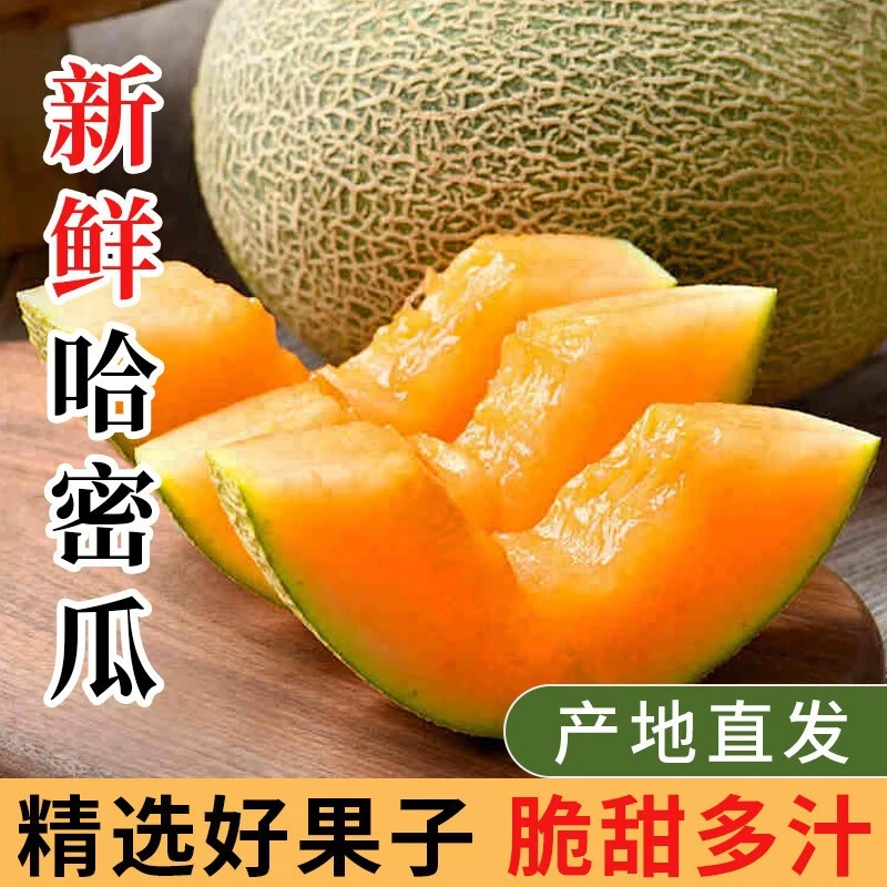 正宗山东哈蜜瓜当季新鲜甜蜜爆汁2.5-8斤脆甜应季西州蜜瓜绿宝石