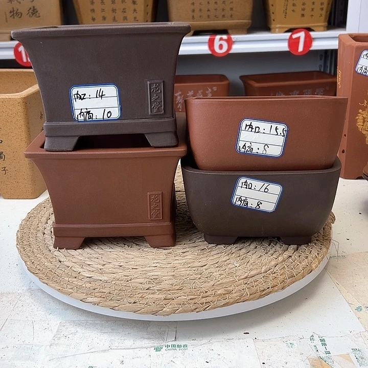 紫砂花盆蛇年大吉