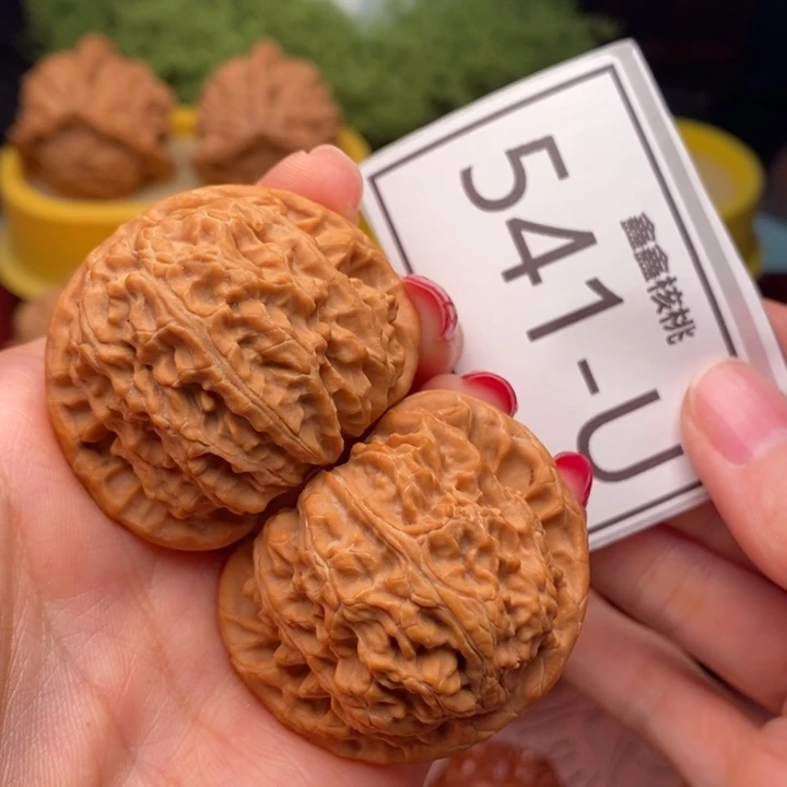 桃核把件白狮子41……