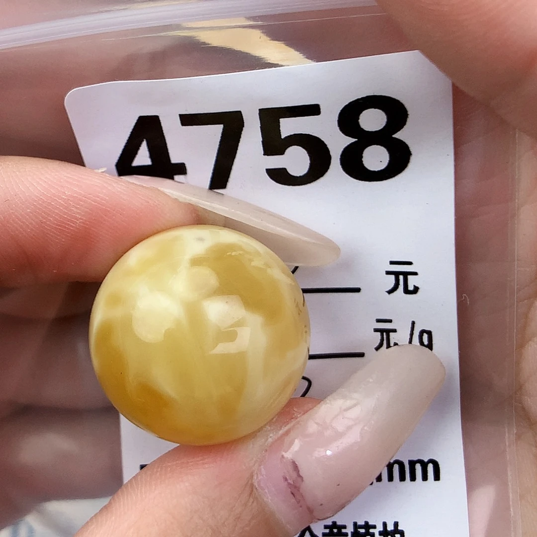 琥珀未镶嵌珠宝奇石22.6植物