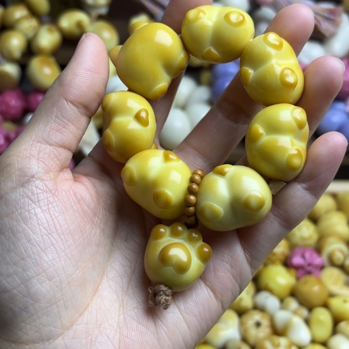 吊坠菩提根/象牙果全品