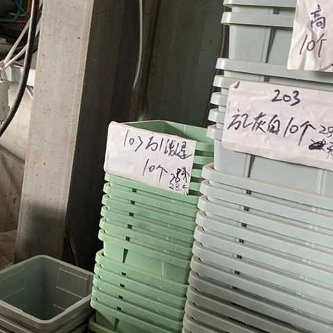 树脂编号203无托10个