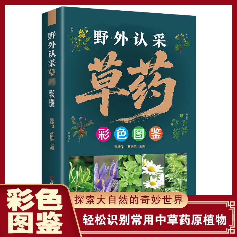 野外认采草药彩色图鉴图解简单实用快速认药中医入门草药大全书籍