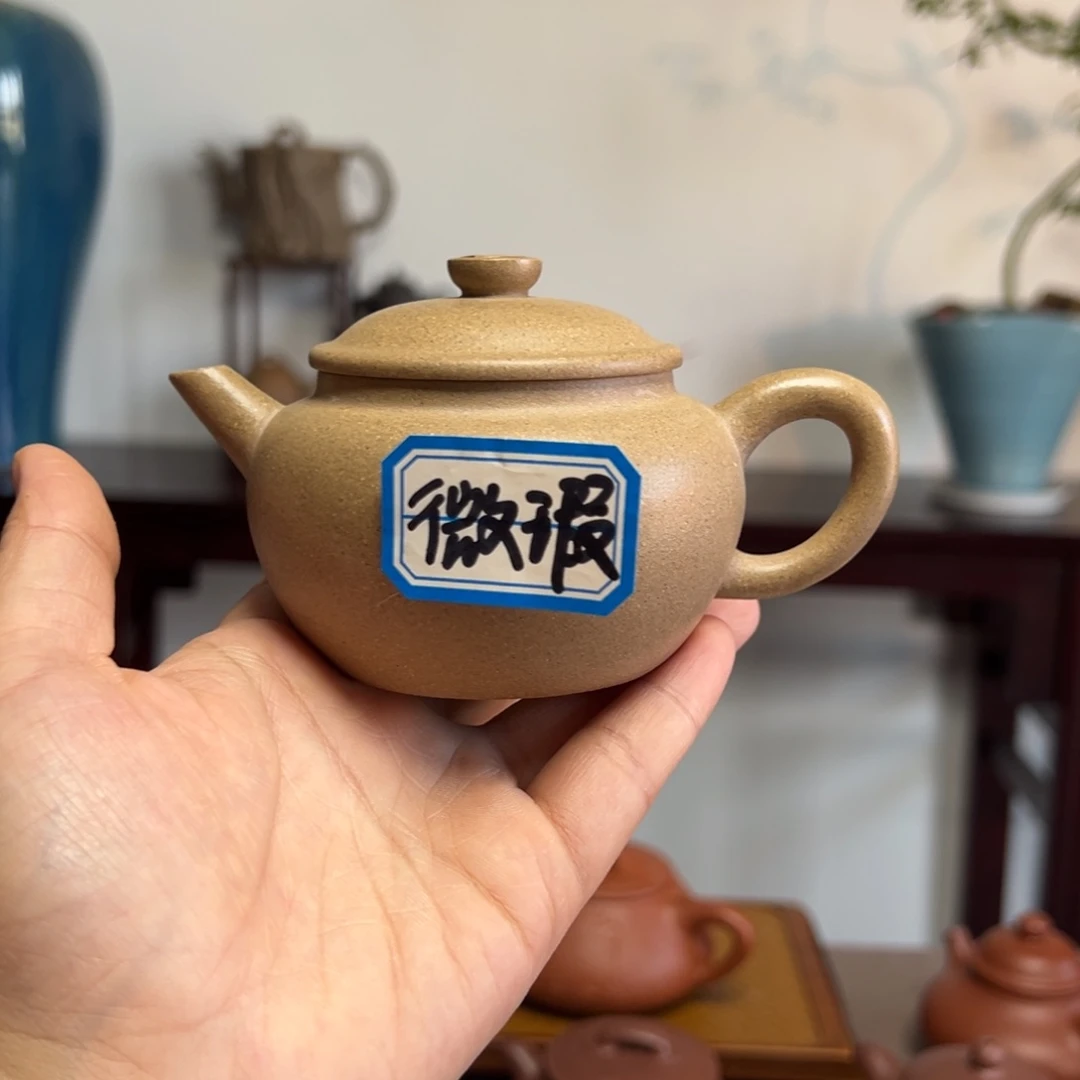 茶壶紫砂雪*铜钱巨轮老青段170