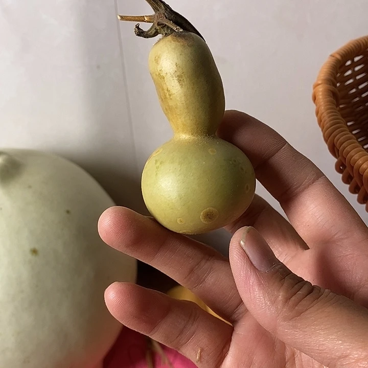 三***万青皮葫芦手把件葫芦