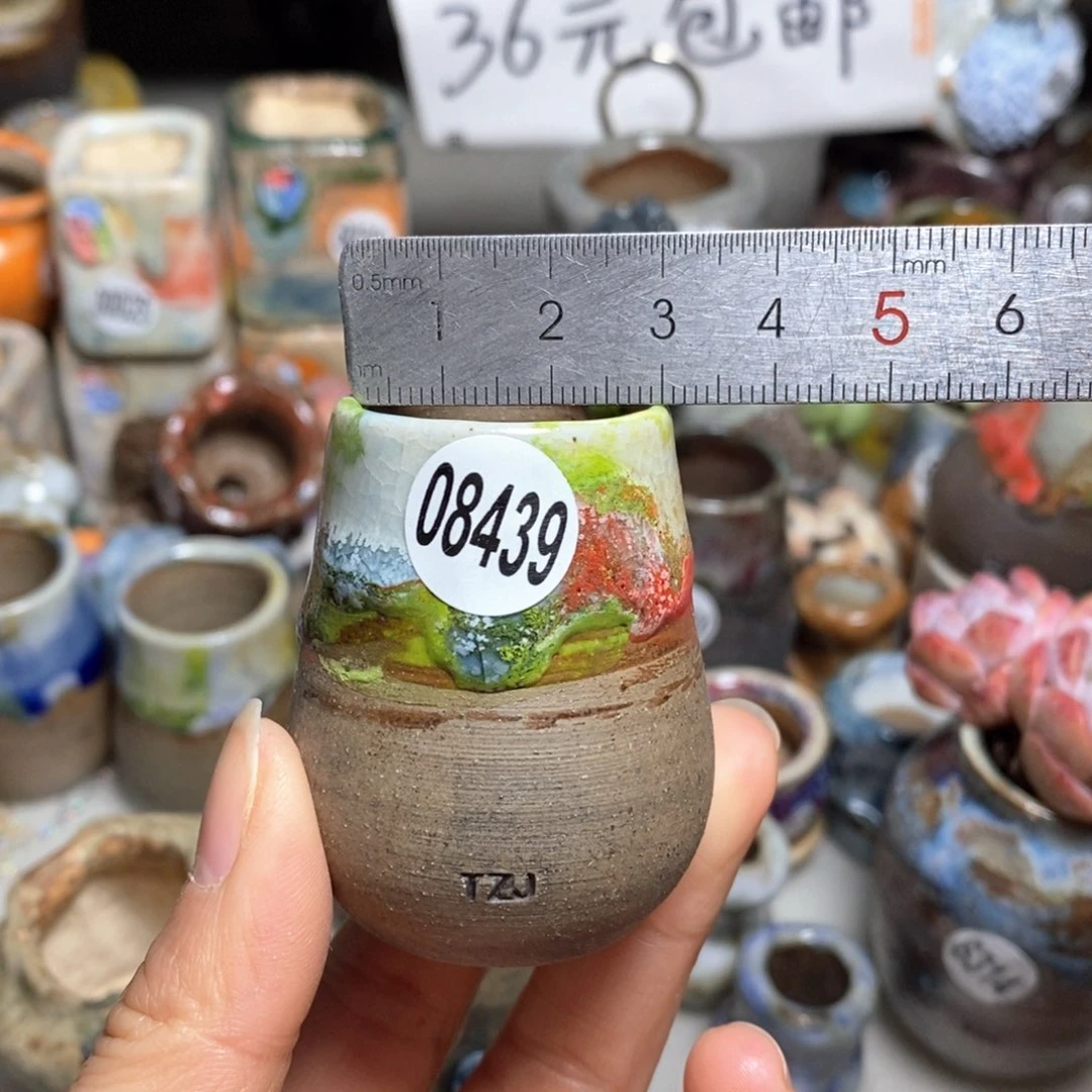 花盆拍5送一个小礼物