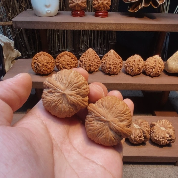 核桃手串/手链41全品泥鳅背