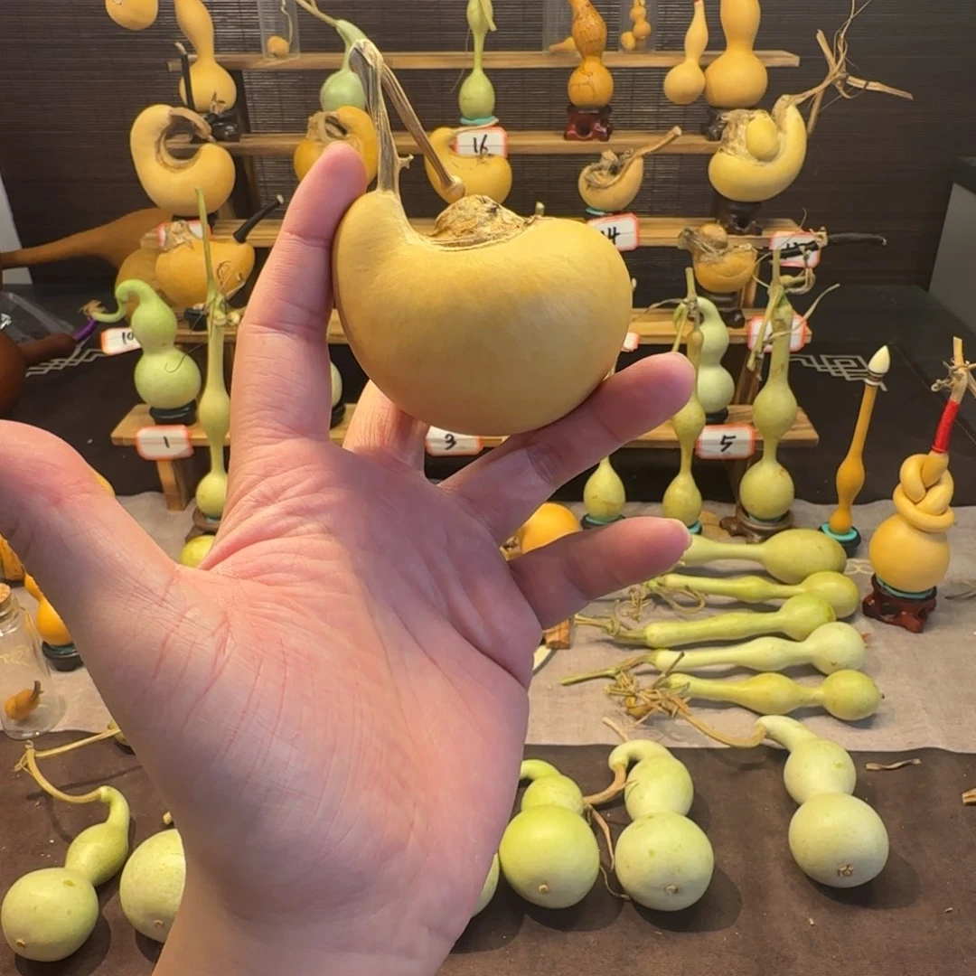 观观总专属闪购链接