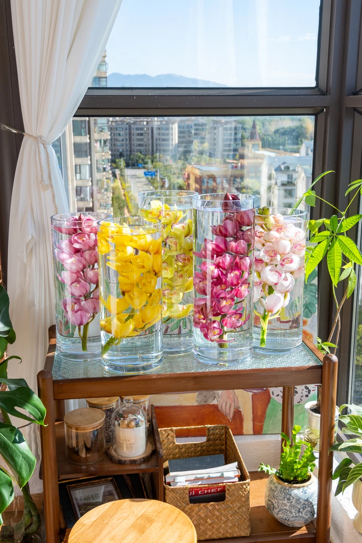 【碧波仙子】大花蕙兰云南基地直发