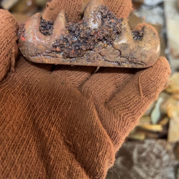 和田玉（黄玉）未镶嵌挂件