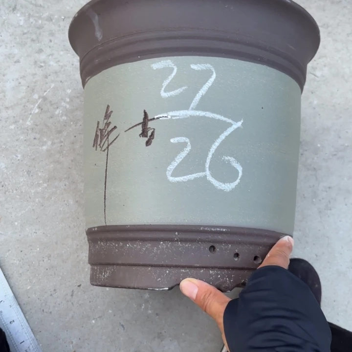 紫砂花盆紫砂的味道