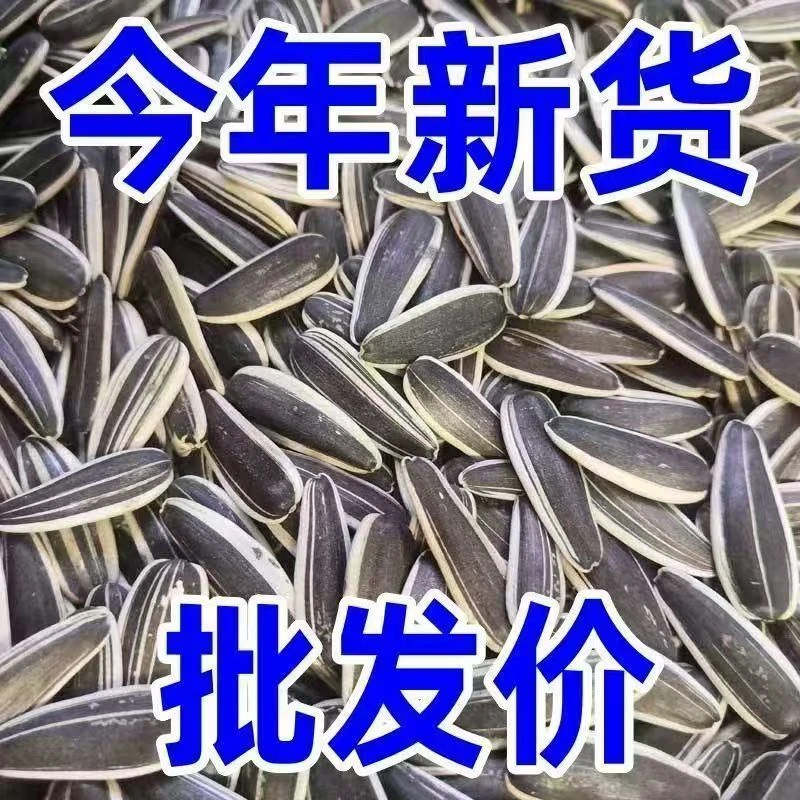 【手剥花脸原味熟瓜子】新鲜炒熟原味葵花籽零食追剧必备