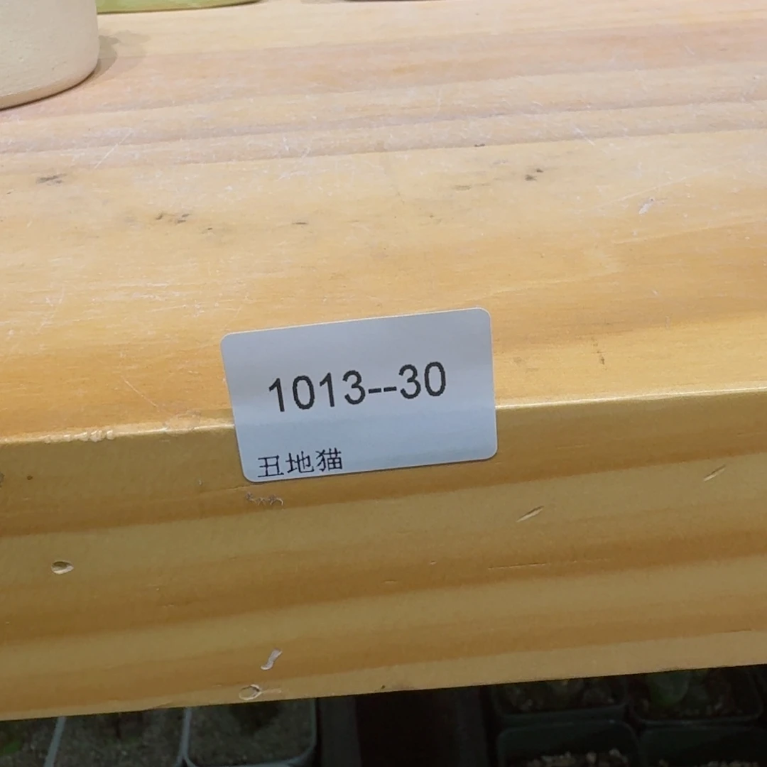 k***雯1013-030卷卷卷卷卷j