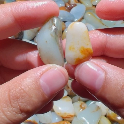 和田玉（糖玉）未镶嵌颈饰2-1