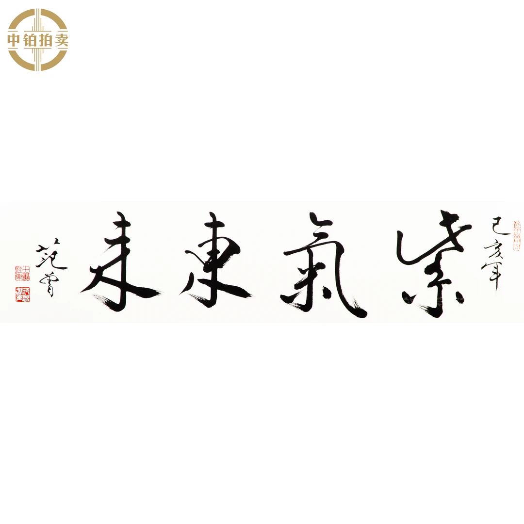 lot0678 范老款 书法 镜片 33cm*141cm 约4.2平尺