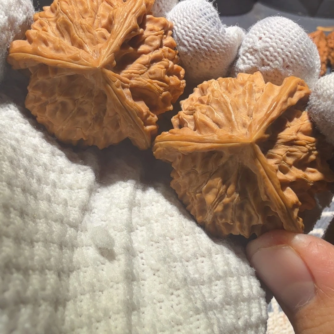 文玩核桃把件公子帽正奔