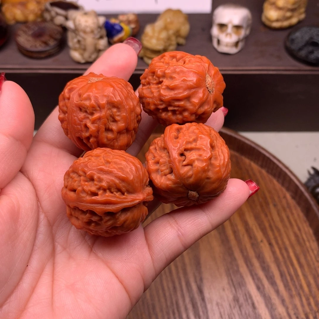 驼骨其他好看又好看