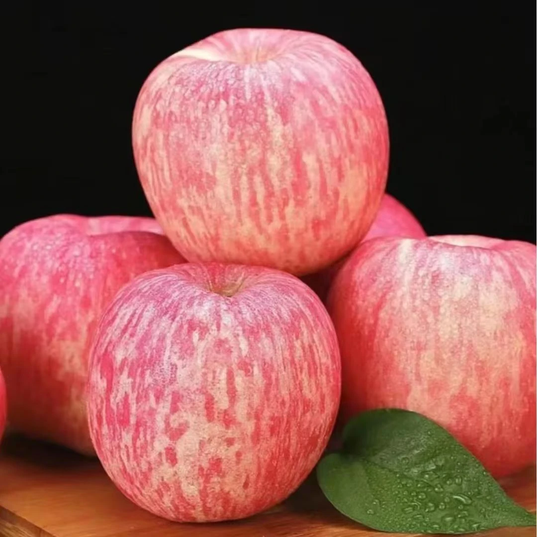 正宗山东红富士苹果脆甜多汁新鲜水果产地直发