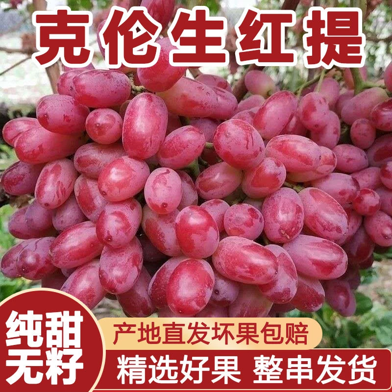 【新鲜采摘】沙漠种植 克伦生 无籽红提葡萄 应季水果