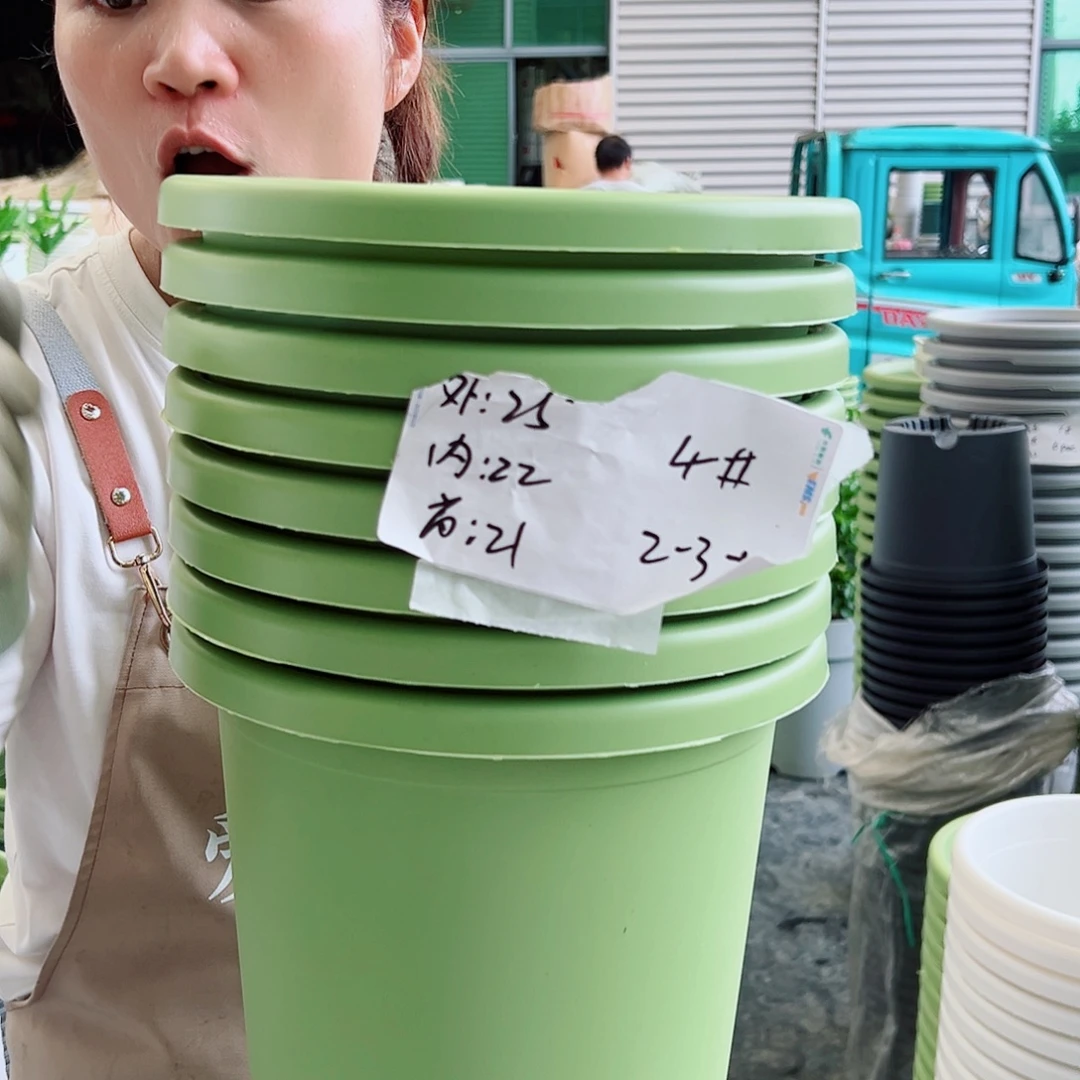 四季盆4#果绿色8个无托