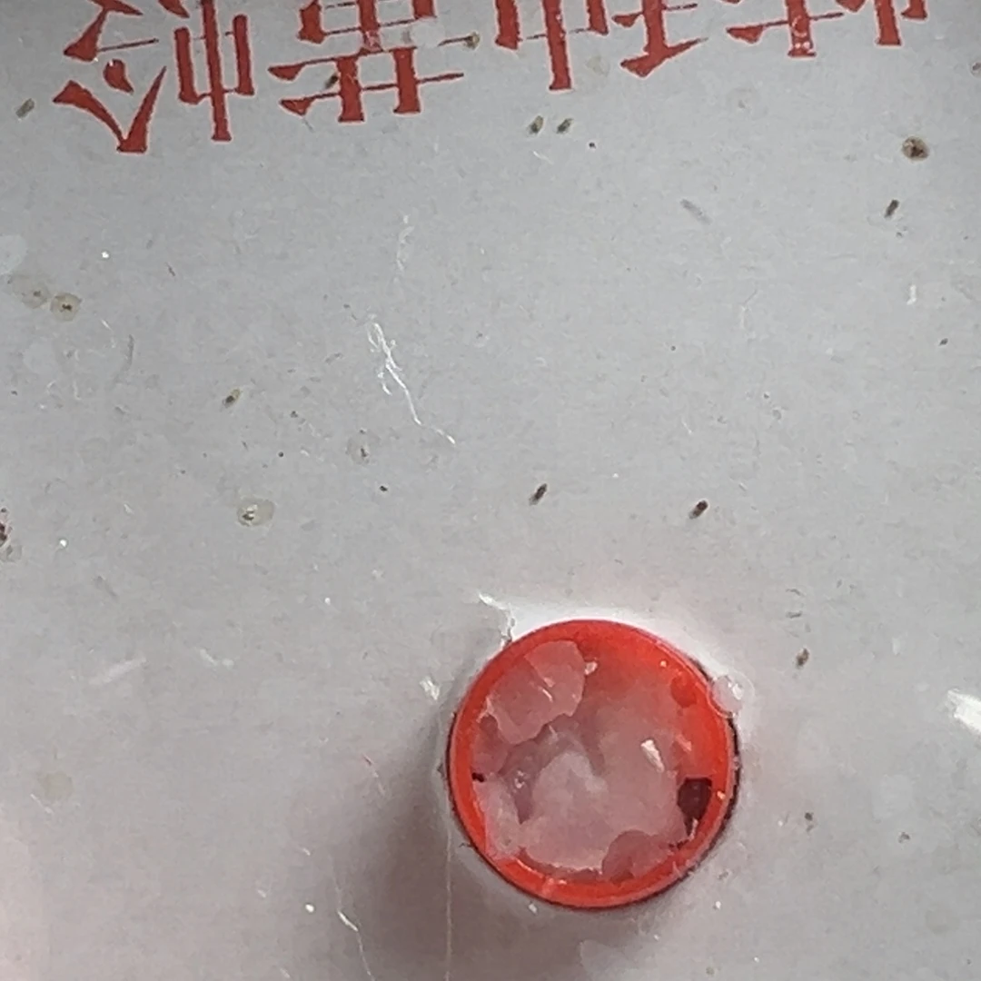 …***…蟋蟀一只大黄蛉好好看看