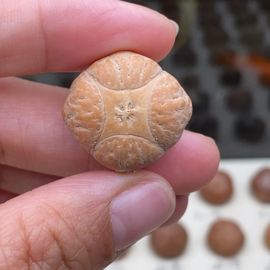 F***r凤眼菩提吊坠麒麟