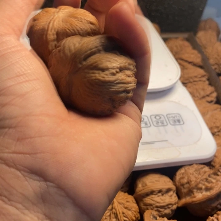 ****沉元宝1234565个行政单位萤石（处理）