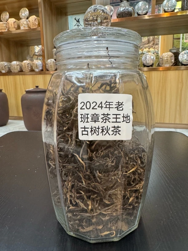 2024年老班章茶王地块 古树秋茶 普洱茶生茶100克