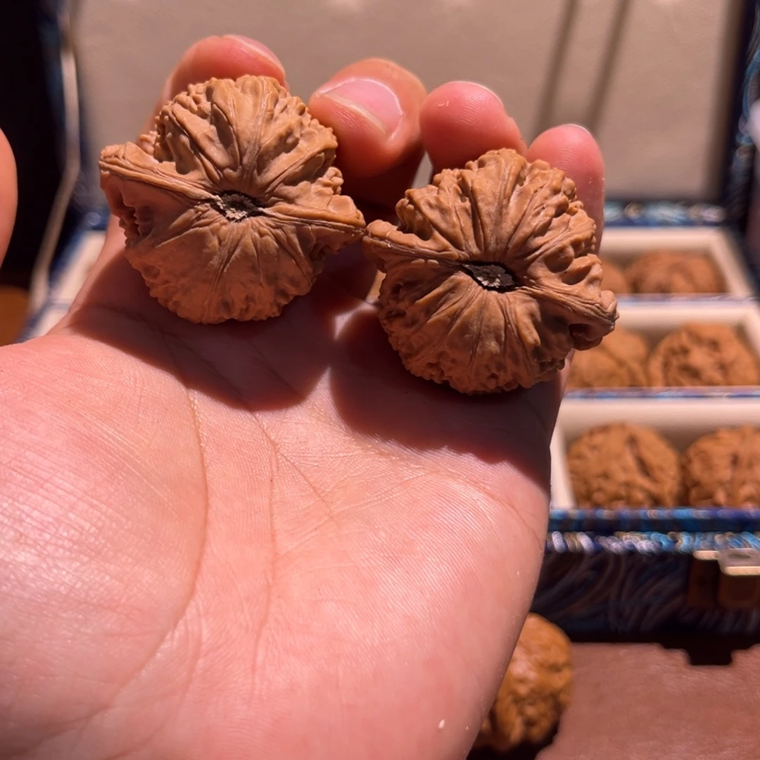 42全品白狮子福利
