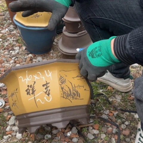 紫砂花盆紫砂花盆盆景盆栽