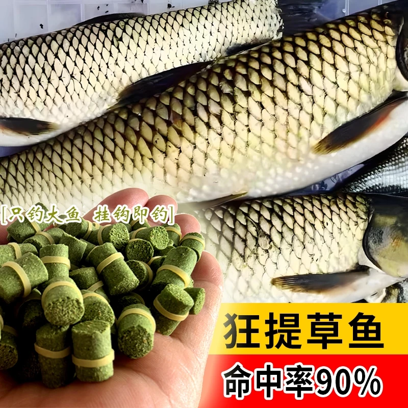 钓草鱼青鱼鲤鱼专用皮筋颗粒黑坑鱼饵浓腥果味巨物鱼饵鱼食饵