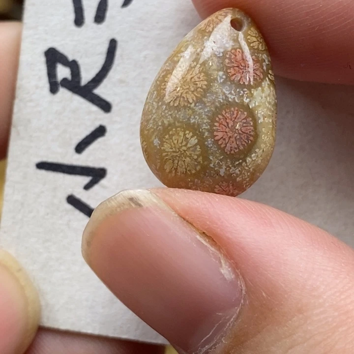 硅化珊瑚（珊瑚玉）未镶嵌颈饰