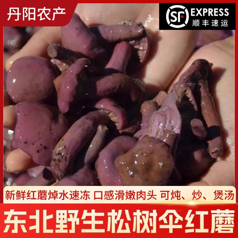 【速冻红蘑】焯水松树伞东北松树伞红蘑肉蘑新鲜速冻少盐炖鸡火锅