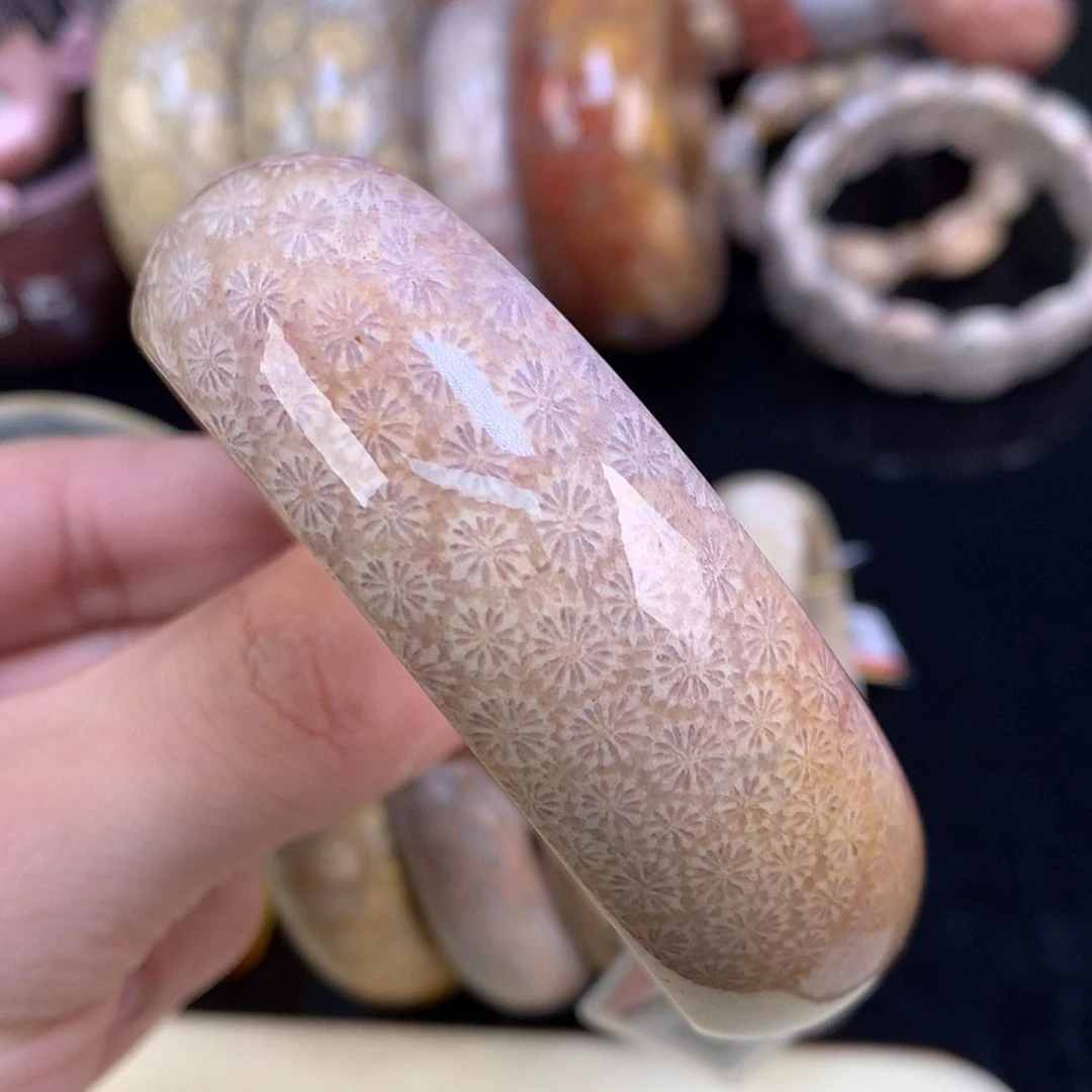 【闪购商品】颈饰未镶嵌硅化珊瑚（珊瑚玉）77号星星花60圈