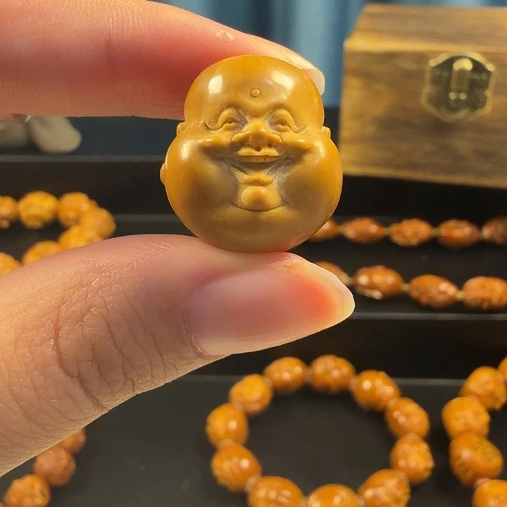 其他橄榄核弥勒单籽