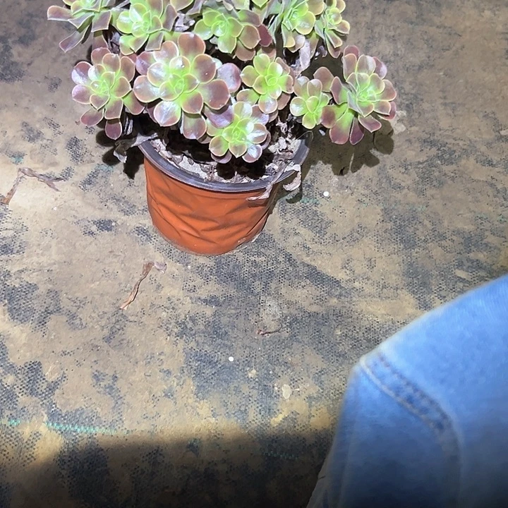 不售后法师一物一拍77