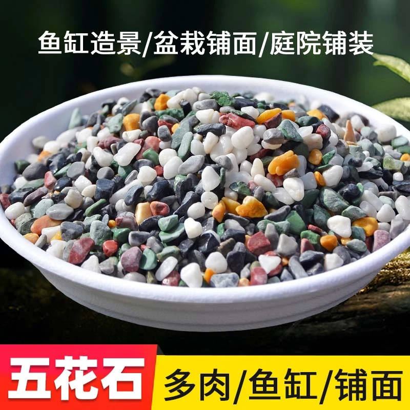 天然彩石鱼缸专用铺底砂多肉盆栽铺面石子五彩石头雨花石原石底砂
