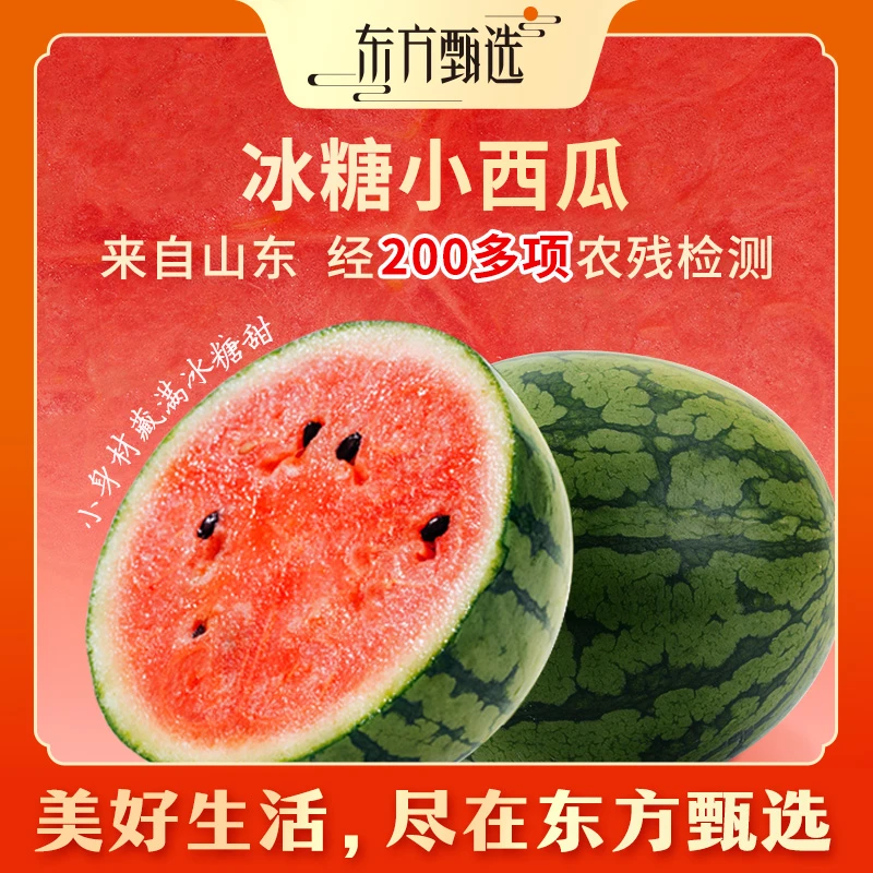 甄选自营 | 东方甄选冰糖小西瓜4.5-9斤装 皮薄香甜坏果包赔清甜