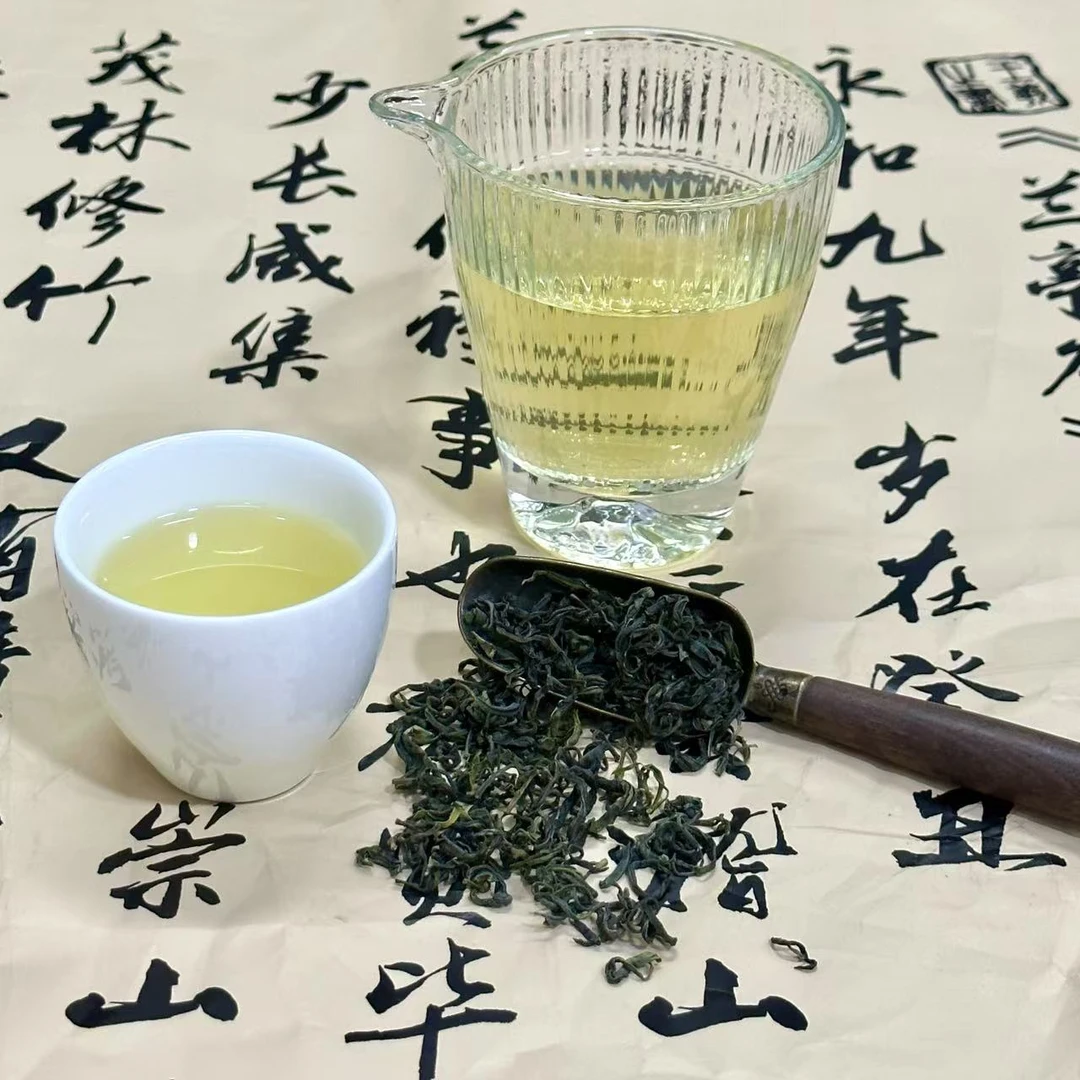 雲松山2025年日照绿茶九月上旬日照绿茶秋茶板栗香