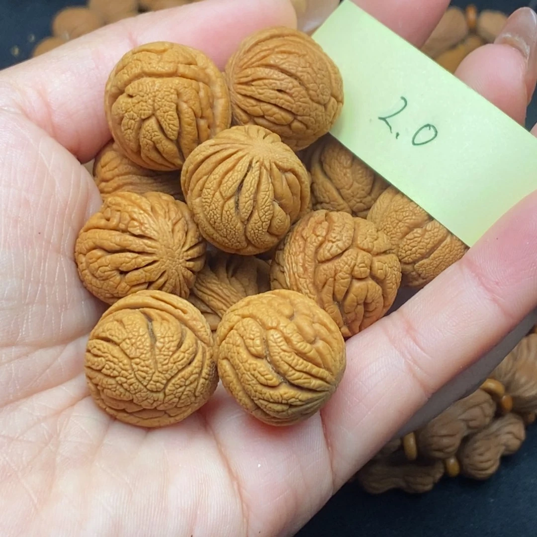 秦岭龙纹桃核13颗