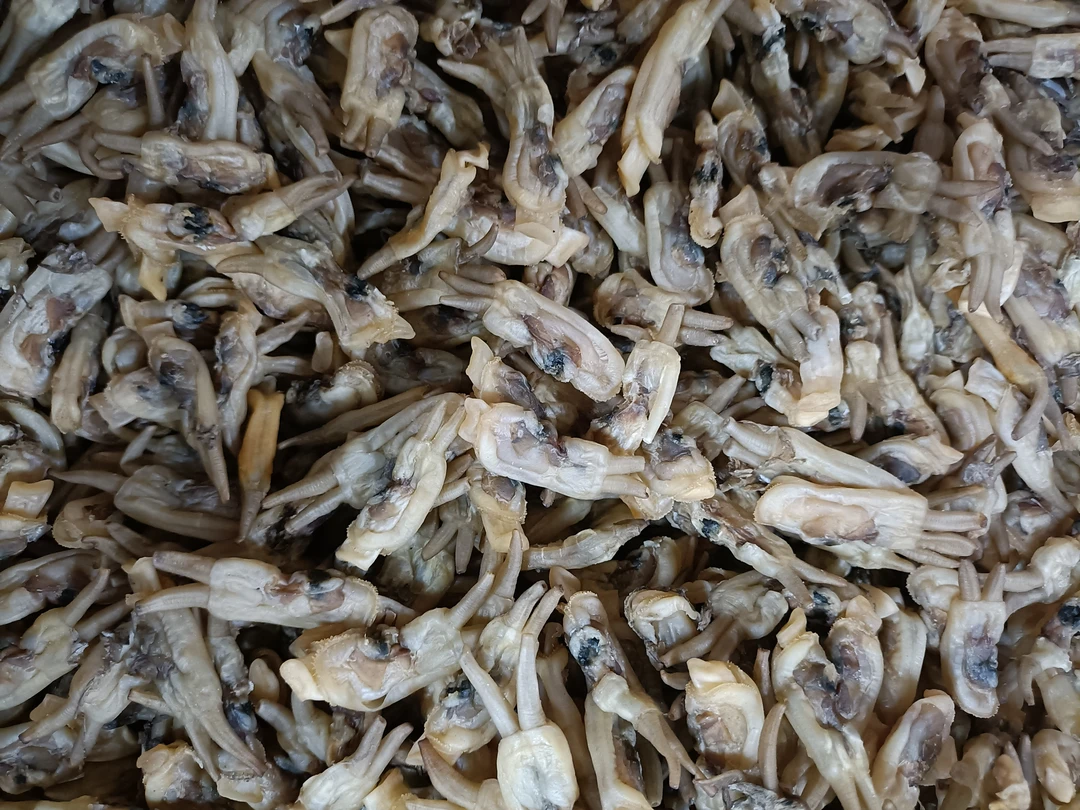 （小阿姨推荐）福建特产福安圣干