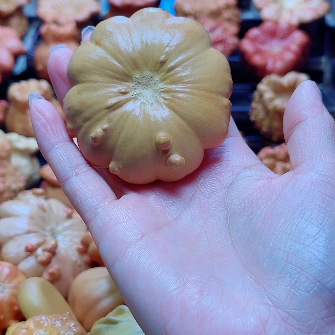 ****ฅ陶瓷墨西哥葫芦可盘可摆